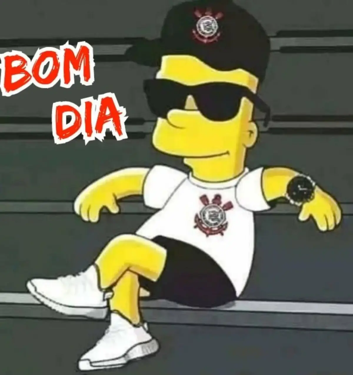 imagem do comentário do membro do fórum